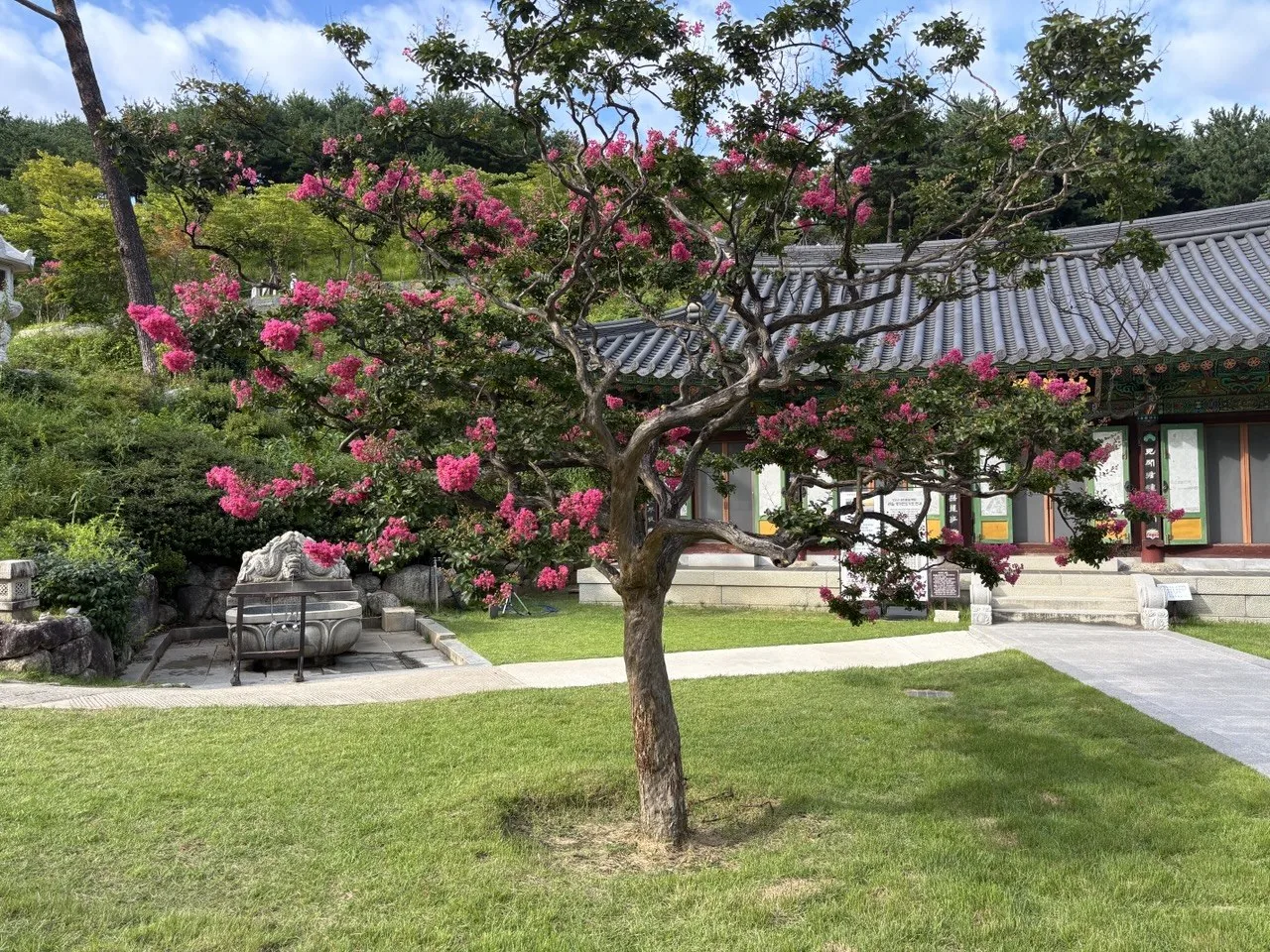 Flowers and a traditional temple courtyard at Naksansa