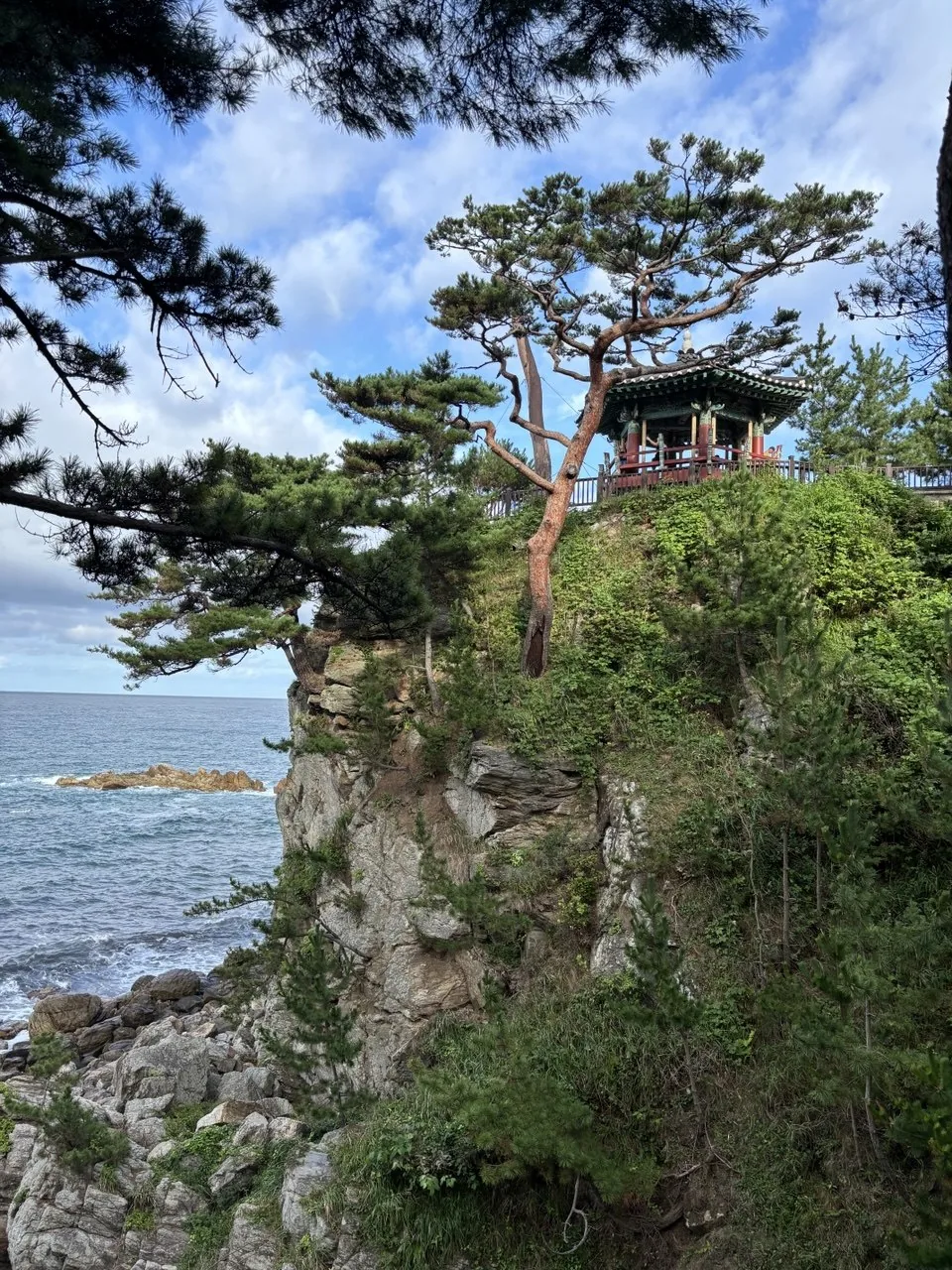 A pine tree and pavilion above the sea at Naksansa