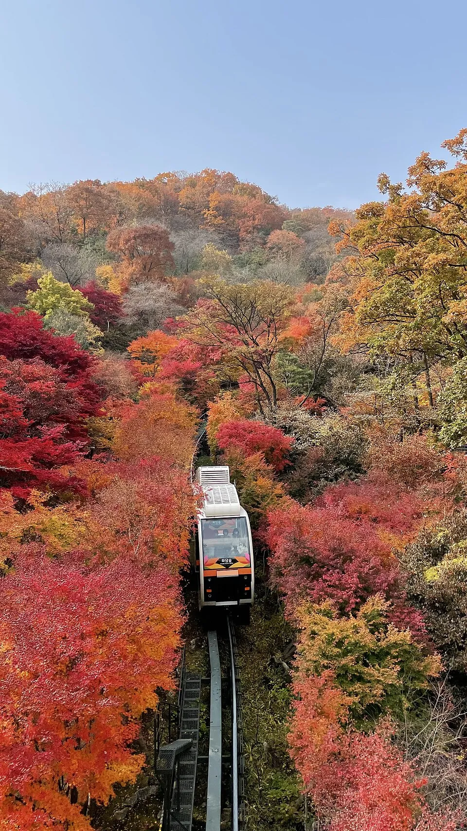 A monorail through autumn foliage at Hwadam Botanic Garden.