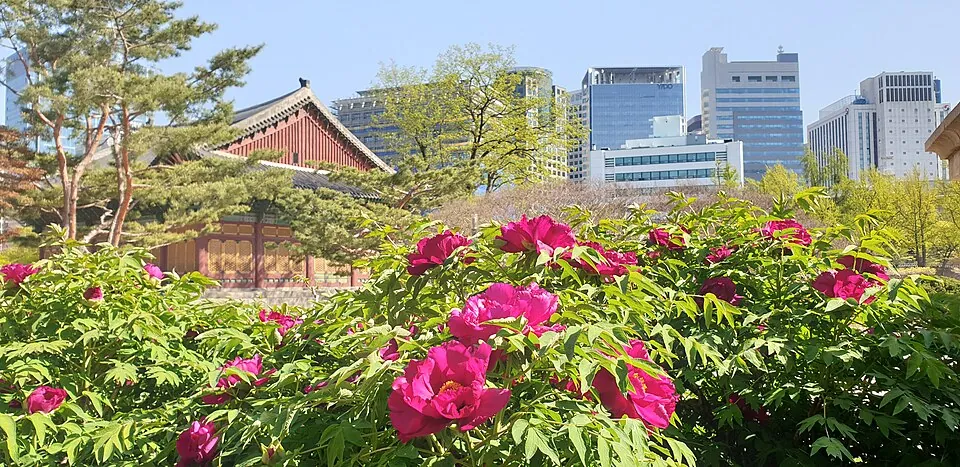 Junghwajeon Hall and Junghwamun Gate at Deoksugung Palace, Jung-gu, Seoul.