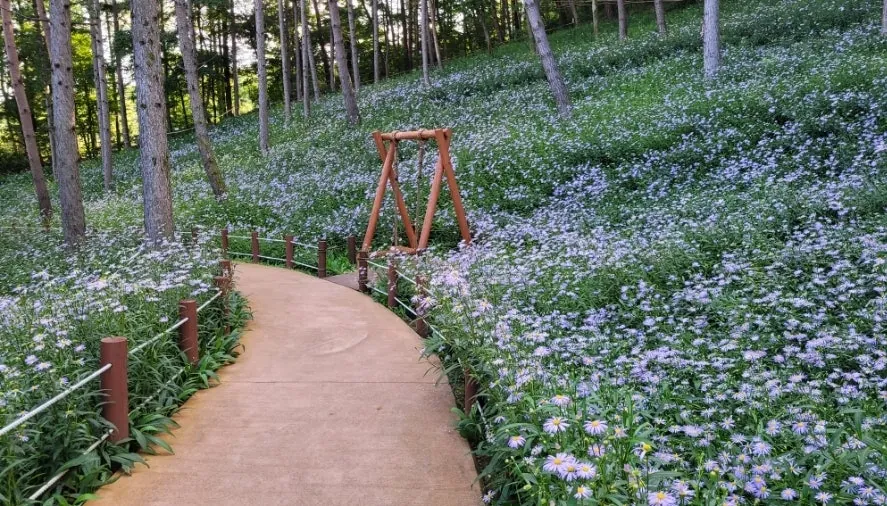 Gayasan Wildflower Botanical Garden, Seongju