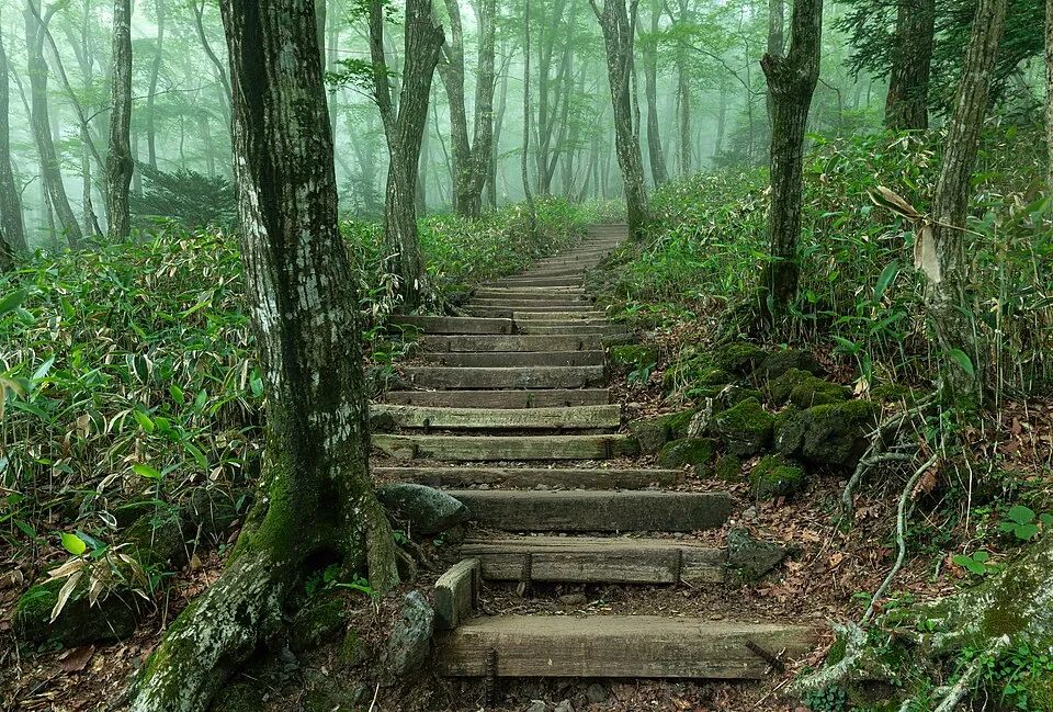 Eorimok Trail, Hallasan, Jeju-si