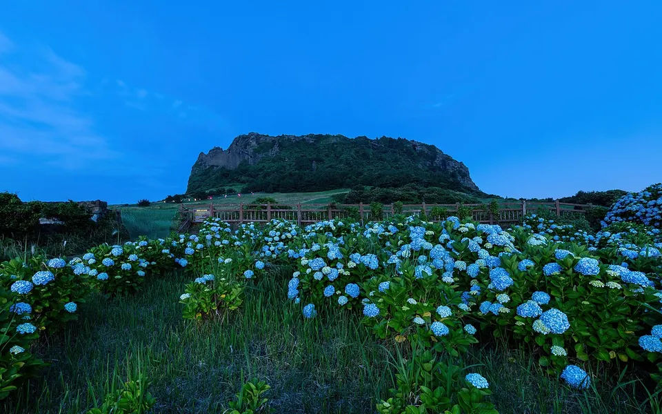 Seongsan Ilchulbong, Seogwipo