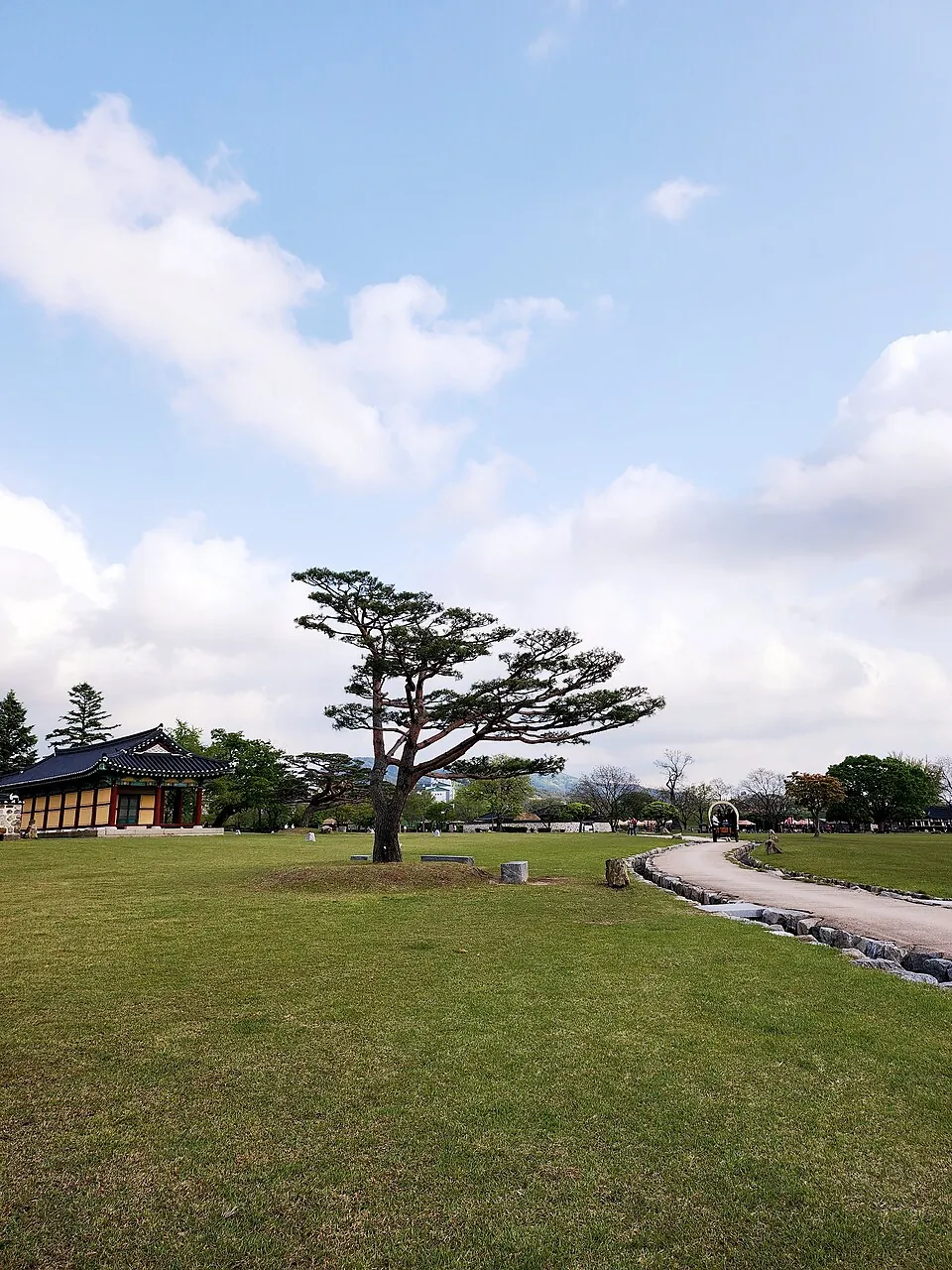 Lawn, pine tree, and traditional building inside Haemieupseong