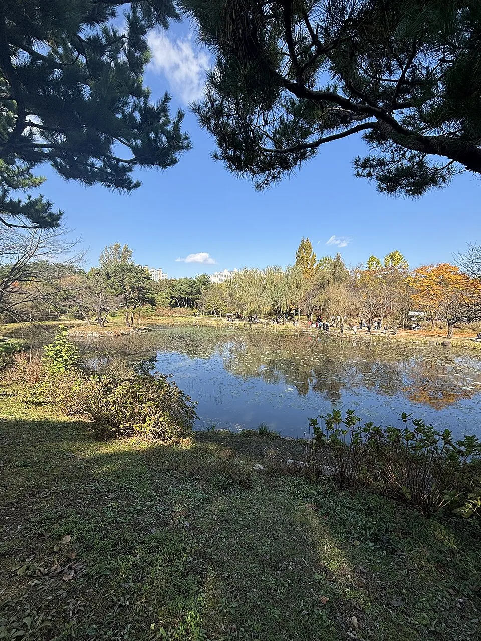 Gwansu Reservoir at Mulhyanggi Arboretum.
