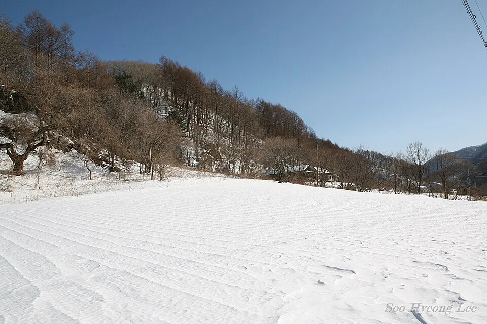 Snow-covered fields near Gombaeryeong in Inje