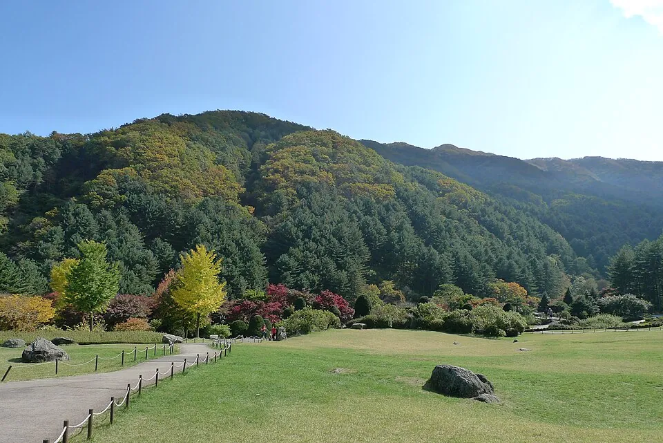 Autumn foliage at the Garden of Morning Calm.