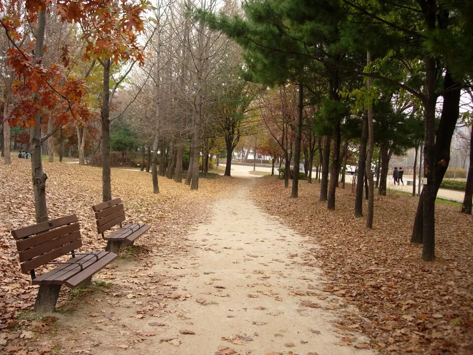 A walking path through Seoul Forest, Seongdong-gu, Seoul.