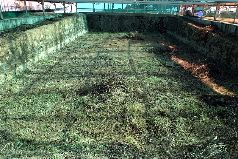 Nokcheongja kiln site in Gyeongseo-dong
