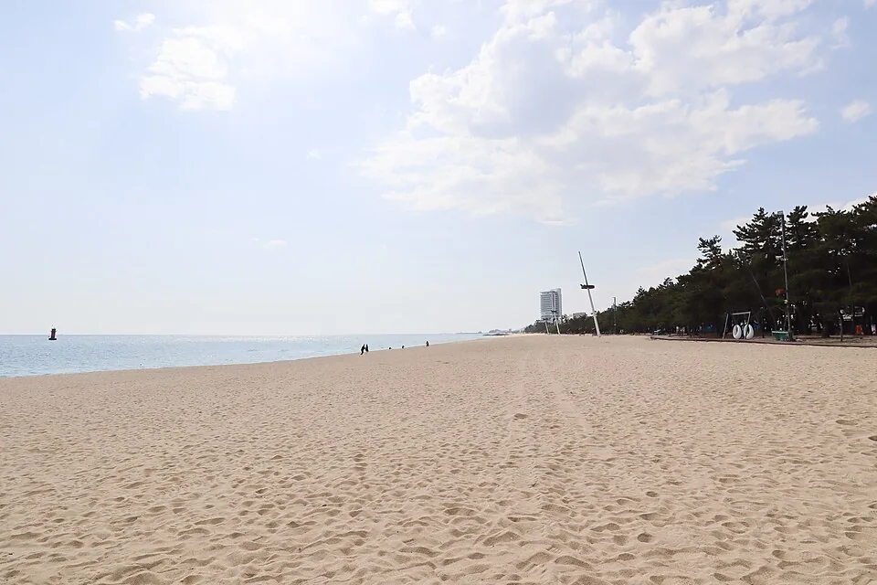 Gyeongpo Beach in Gangneung, with a broad sandy shore beside pine trees and the sea